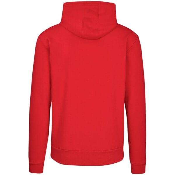 Mens Omega Hooded Sweater